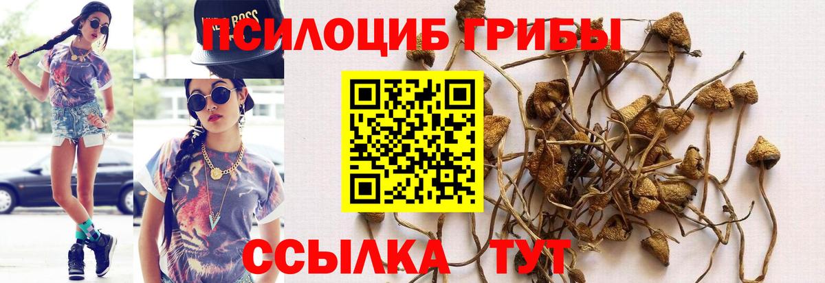 Псилоцибиновые грибы ЛСД  Галлюциногенные грибы Psilocybine cubensis  где купить наркотик  Вход с VPN  Хабаровск 